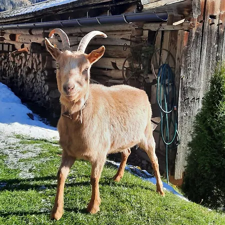 Appartamento Rieder Gerlos