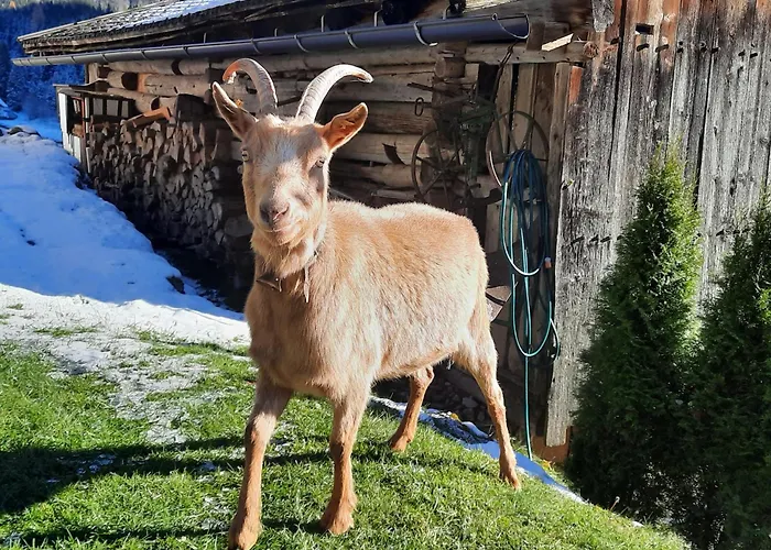 Appartamento Rieder Gerlos